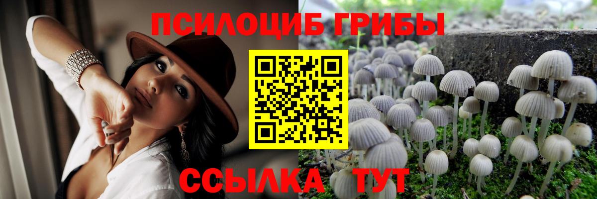 Галлюциногенные грибы MAGIC MUSHROOMS  Вход с VPN  Ревда 